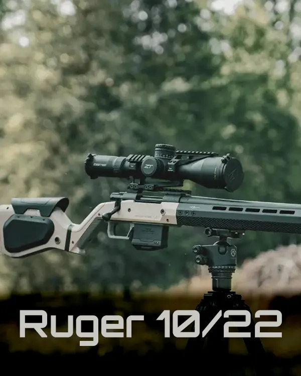 Ruger 10 22